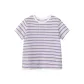 White Purple Stripes