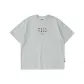 Ice Gray