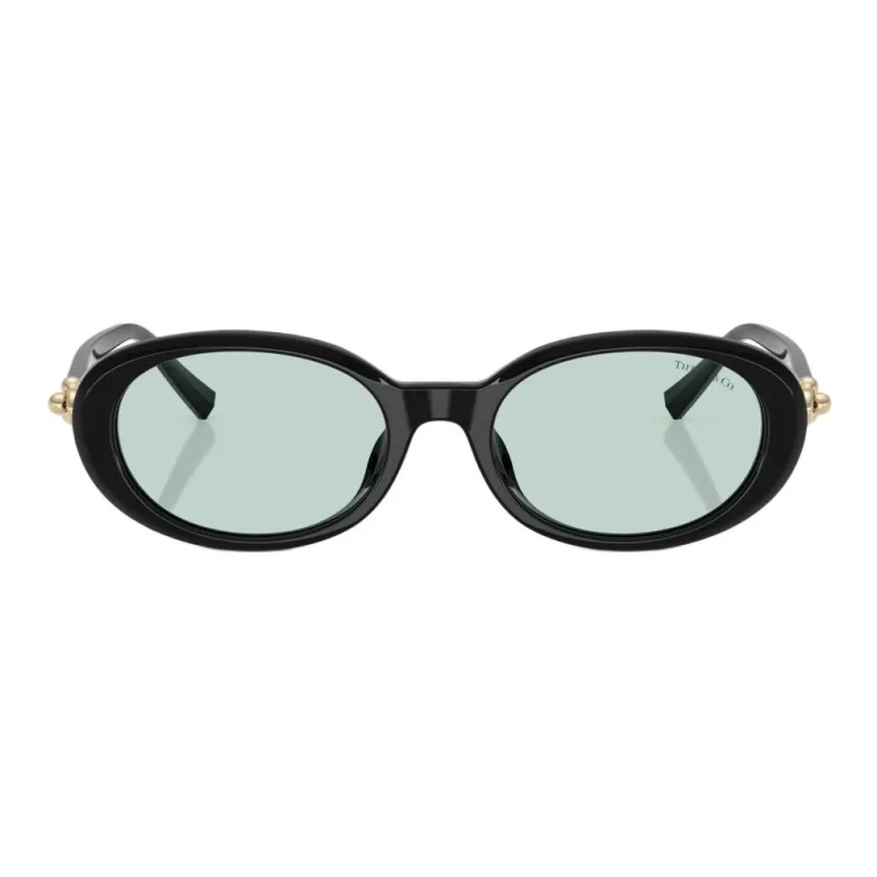 TIFFANY & CO. Acetate Ester Oval Sunglasses Women's Black-4