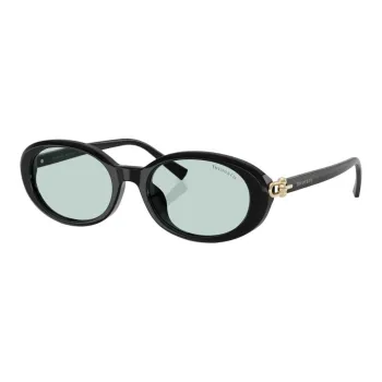 TIFFANY & CO. Acetate Ester Oval Sunglasses Women's Black