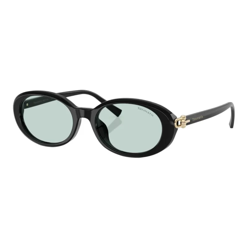 TIFFANY & CO. Acetate Ester Oval Sunglasses Women's Black-0