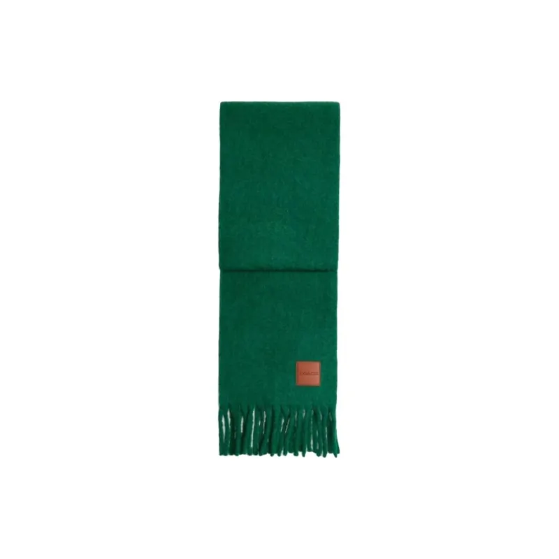 COACH Alpaca, Polyamide, Leather Knit Scarves Unisex Green-0