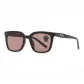 Black Frame with Tea Brown Lens (Standard Lens)