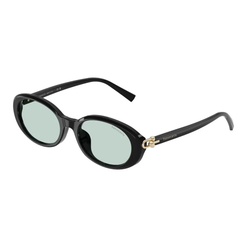 TIFFANY & CO. Acetate Ester Oval Sunglasses Women's Black-2