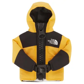 THE NORTH FACE Nylon Keychains Men's Gold
