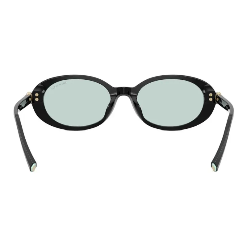 TIFFANY & CO. Acetate Ester Oval Sunglasses Women's Black-1