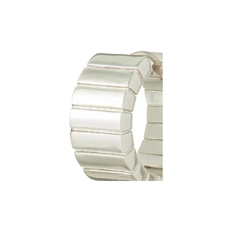 Roxanne Assoulin Silver Plated Earrings Women's Silver-1
