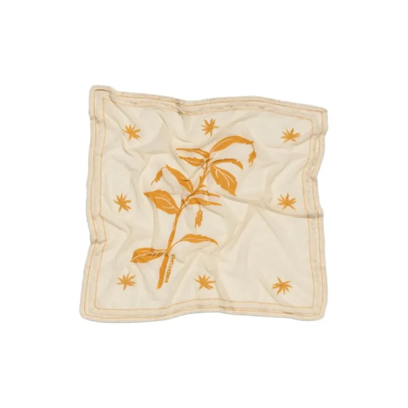 Bimba Y Lola Embroidered Scarf-1