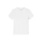Papyrus White