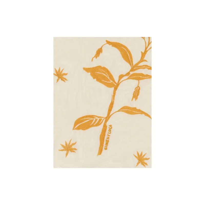 Bimba Y Lola Embroidered Scarf-0