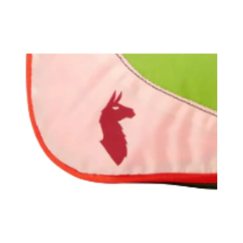 Cotopaxi Nylon Travel Storage Bag Unisex Green & Red-3