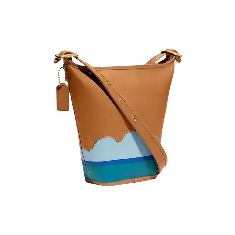 COACH Tom Wesselmann Collaboration Leather Crossbody Bags Trumpets Women's Brown-1