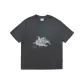 Graphite Gray