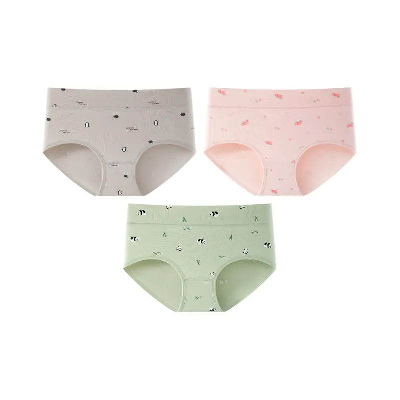 2323 Underpants Women's Combo Set-7