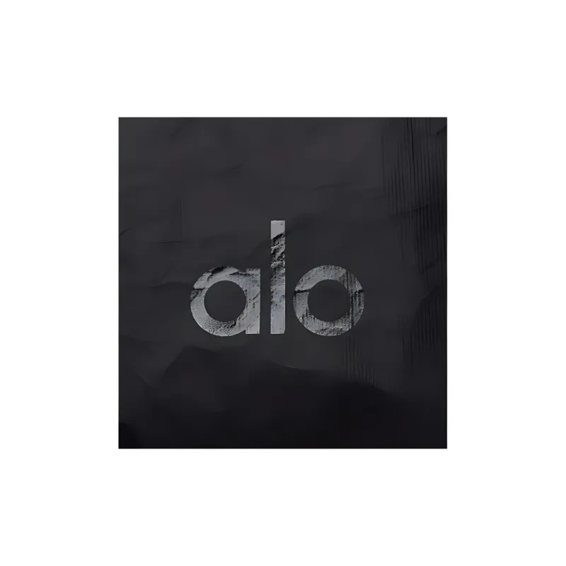 Alo Yoga Tyvek Material Storage Bag Unisex Black-1