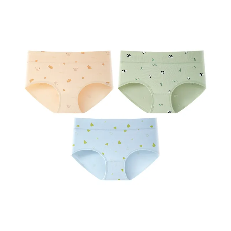 2323 Underpants Women's Combo Set-6