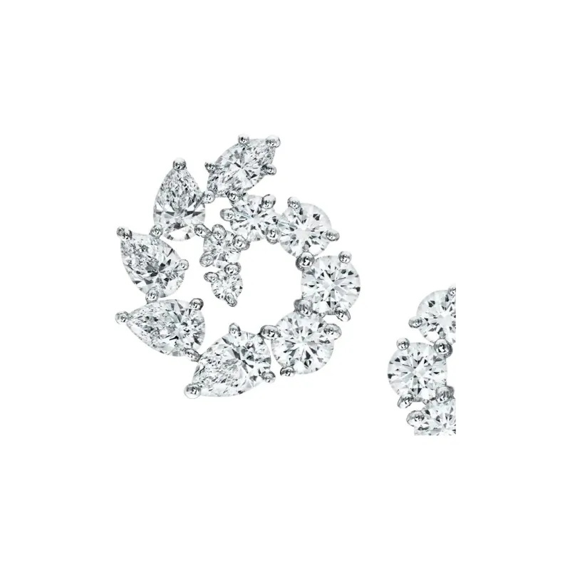 HARRY WINSTON Platinum Earrings Women's Silver-2