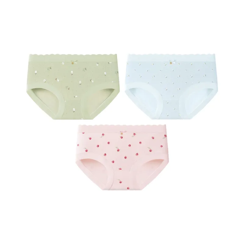 2323 Underpants Women's Combo Set-5