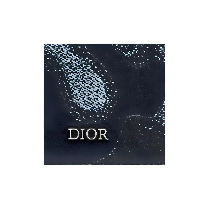 DIOR PETER DOIG Collaboration Smooth Cow Leather Card Holder Card Holder Men's Denim Blue-2
