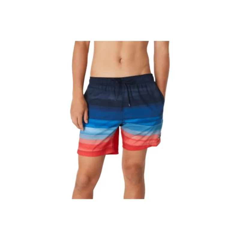 Speedo Swimming Shorts Men Marine Blue-0