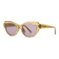 Transparent Tea Brown