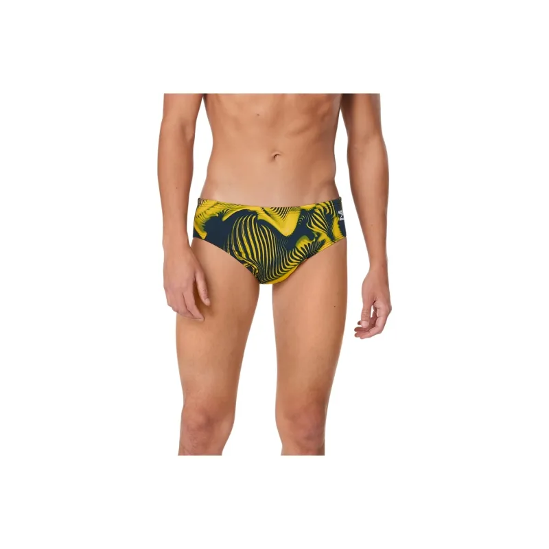 Speedo Swimming Shorts Men-3