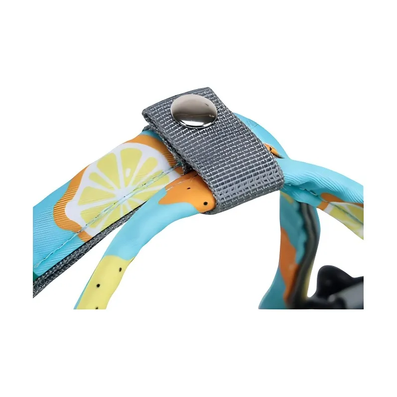 H YXIANG Oxford Backpack Unisex Multicolor-5