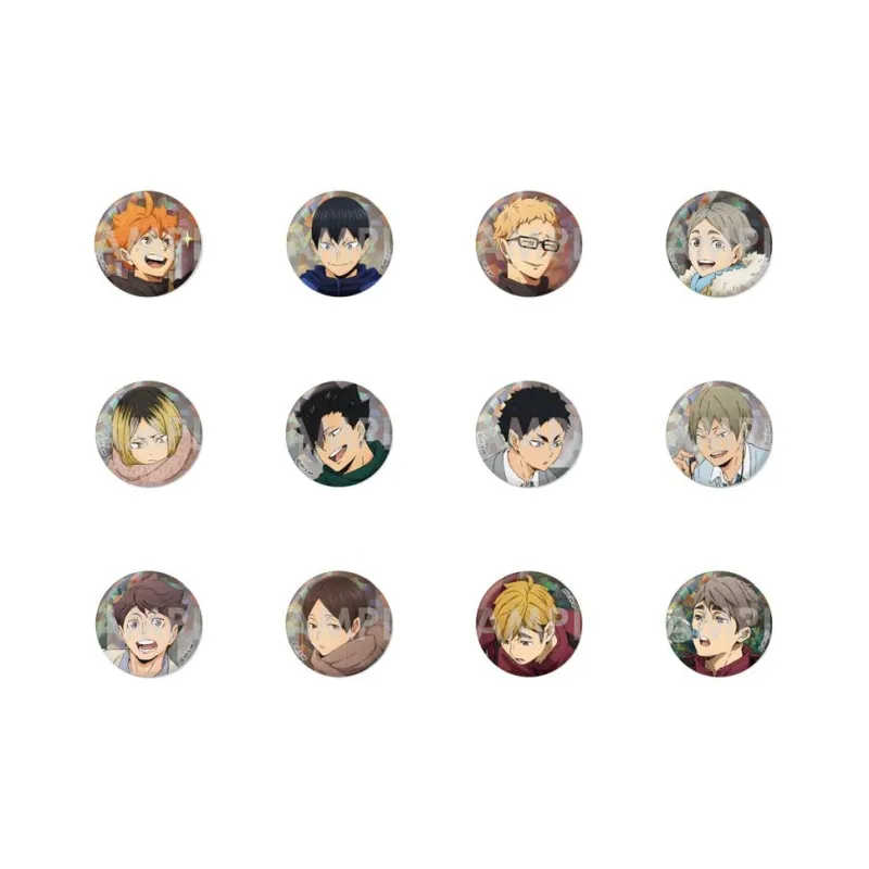 CRUX Haikyuu!! , A Beautiful Day Badges-0