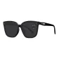 Black Frame with Gray Lens (Standard Lens)