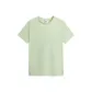 Cyan Lime Cream Green
