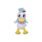 Donald Duck