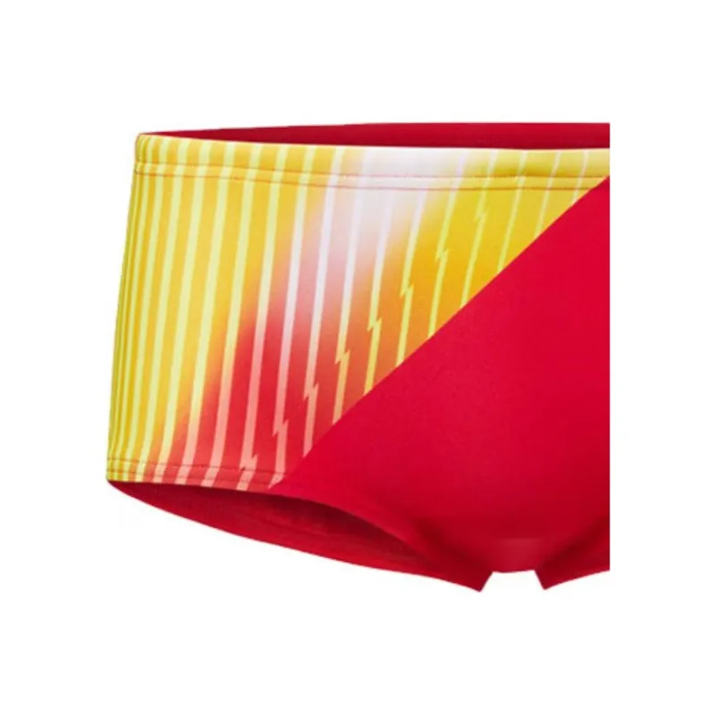 Speedo Swimming Shorts Men's Red-4