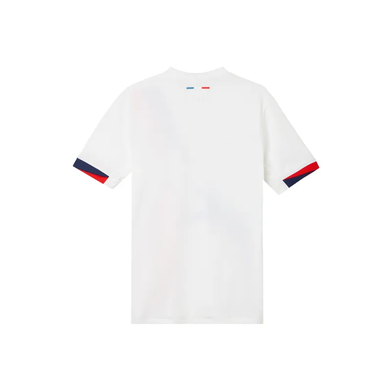 Nike Paris Saint Germain 2024/25 Stadium Away Men's Nike Dri FIT Soccer Replica Jersey-1