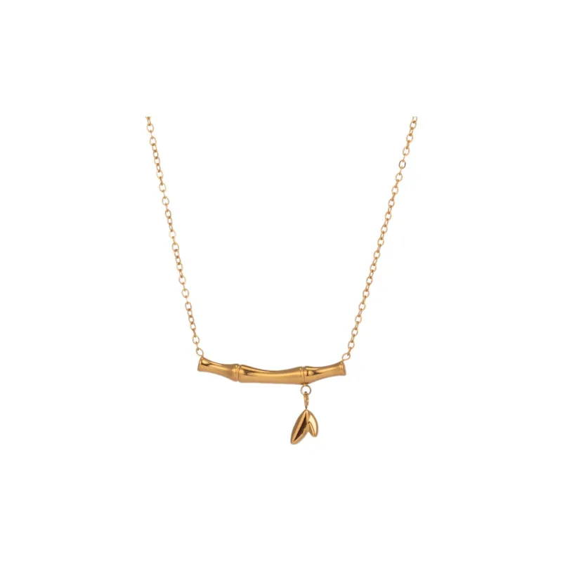 XIXINGPO Titanium Steel Necklaces Women's-0