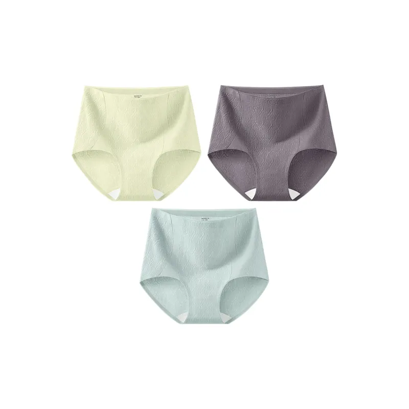 2323 Women's Underpants-11