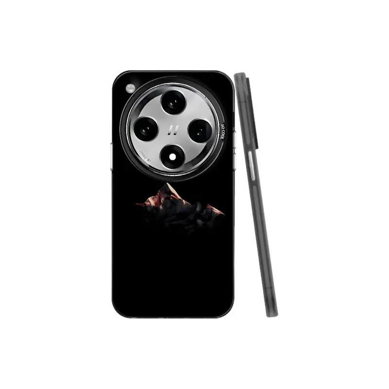 Baochengbao Phone Cases-9