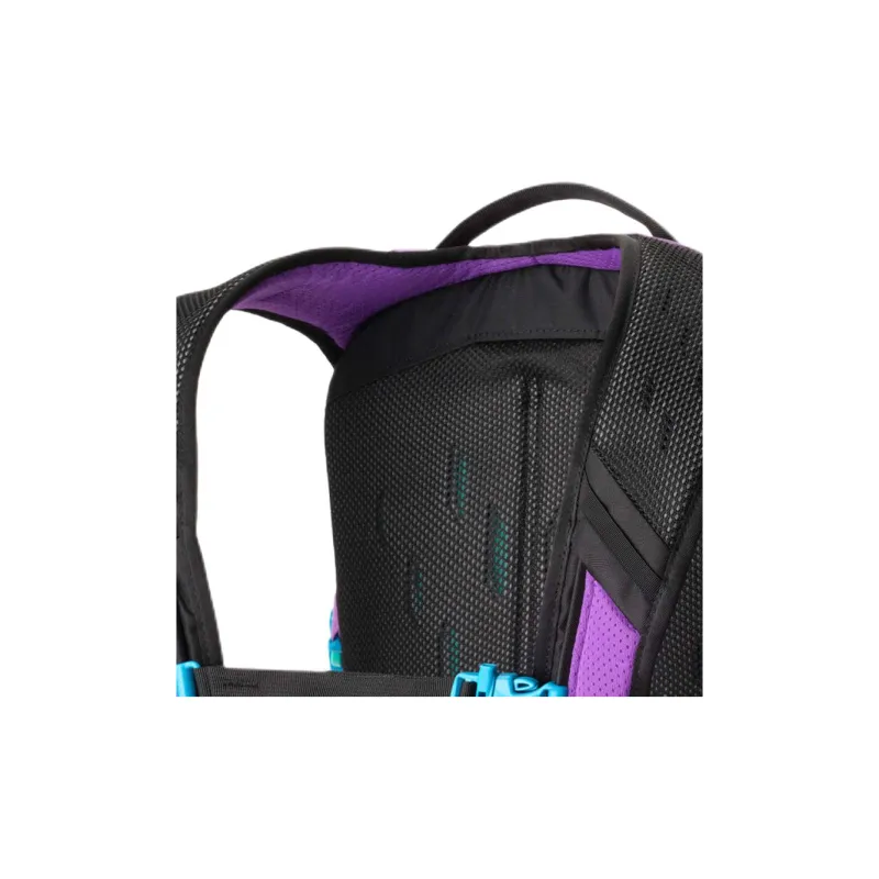 GREGORY 24L Backpacks Nylon Purple & Blue Unisex-2