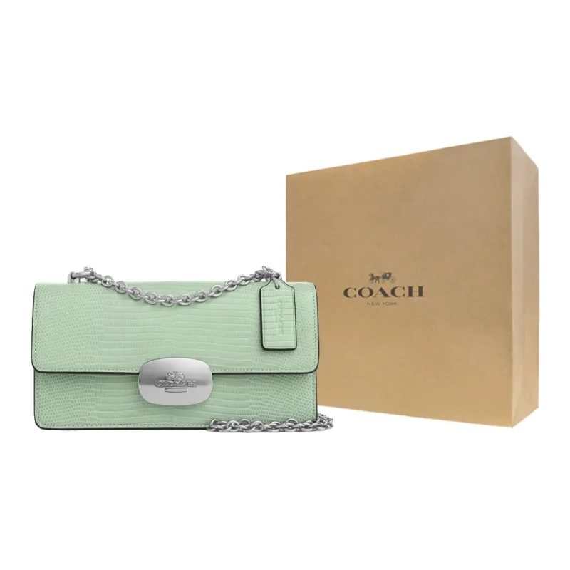 COACH Eliza Leather Shoulder Bag Crossbody Bag Small Size Women's Silver & Light Green-10