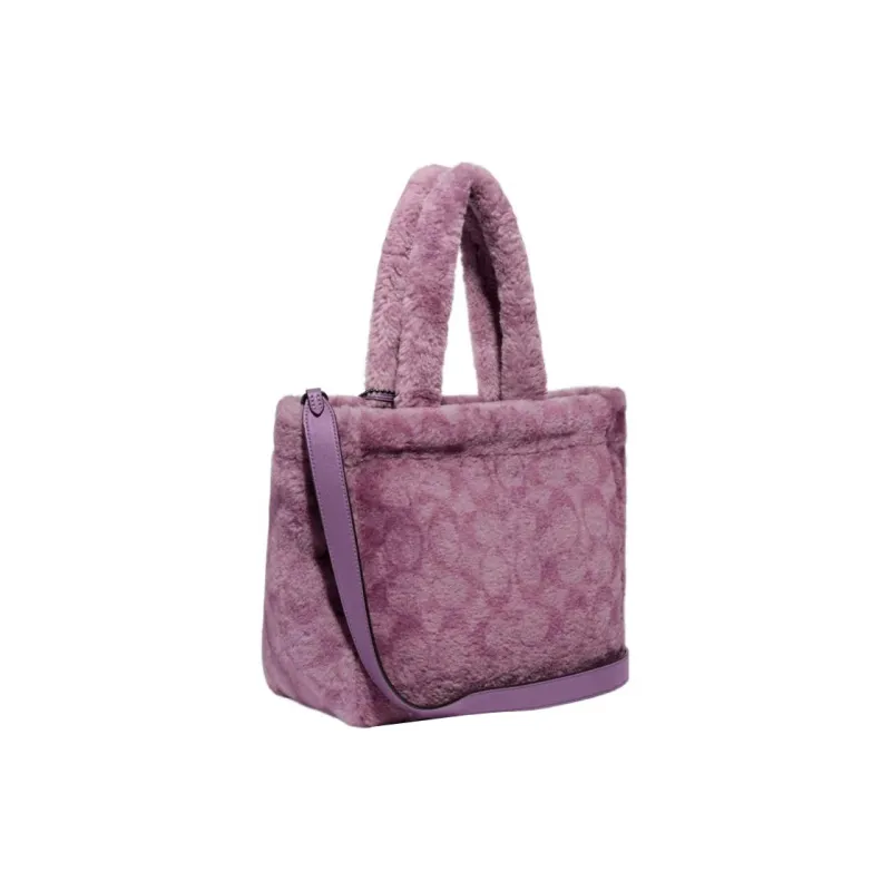 COACH Handbags-1