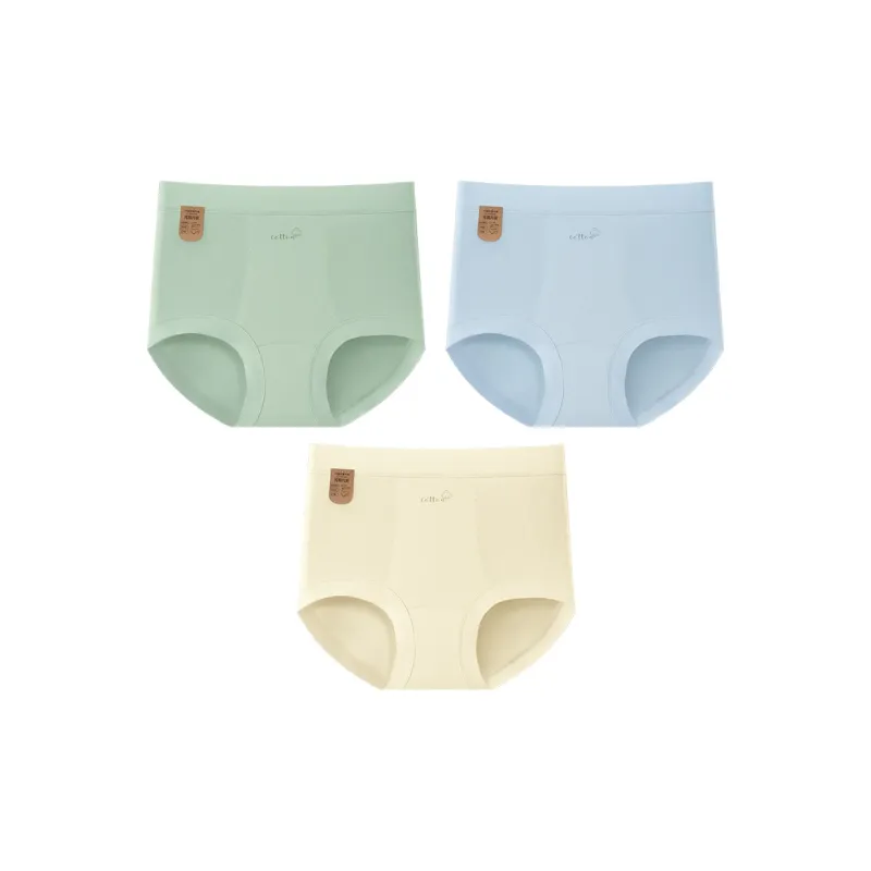 2323 Underpants Women's Combo Set-10