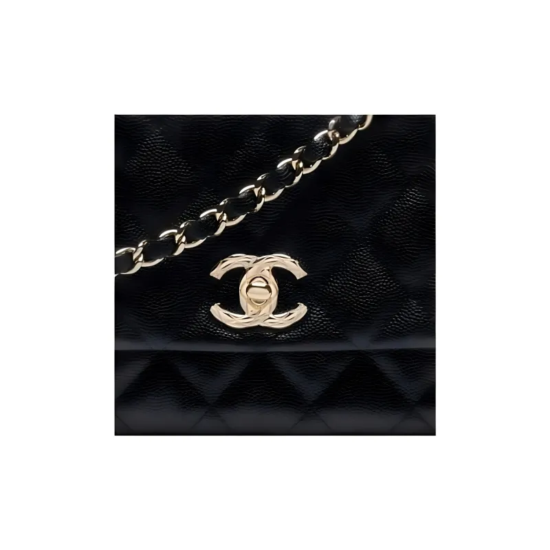 CHANEL Logo One Shoulder Crossbody Handbag Women's Black-3