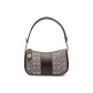 Bag+Dust Bag