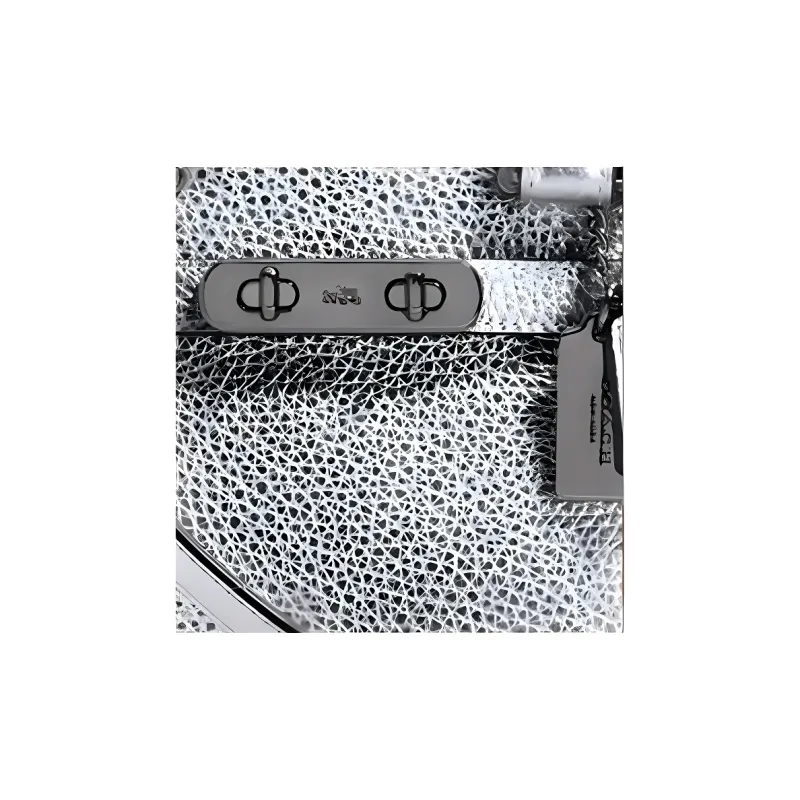 COACH Swagger Leather Crossbody Bag Shoulder Bag Crossbody Bag Handbag Small Size Women's Silver Gray-1
