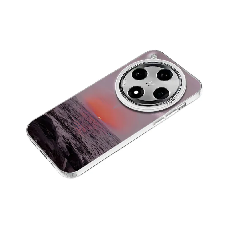 Baochengbao Phone Cases-13