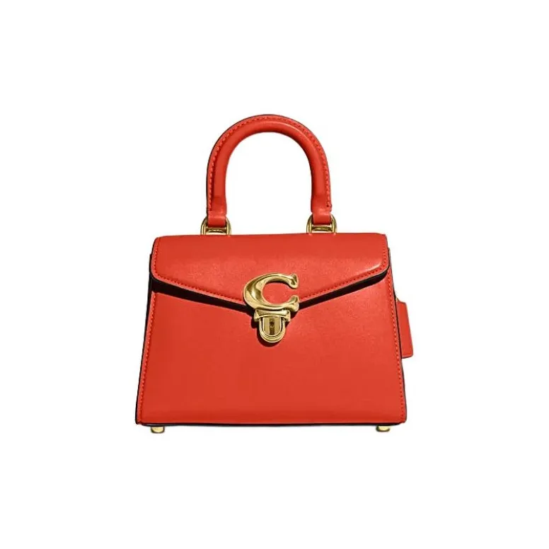 COACH Cow Leather Lady Dior Bag, Crossbody Bag, Handbag Women's Orange-0