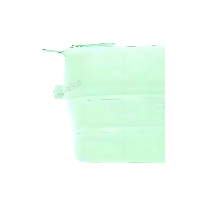 Valentino Polyester Travel Storage Bag Women's Light Green-2