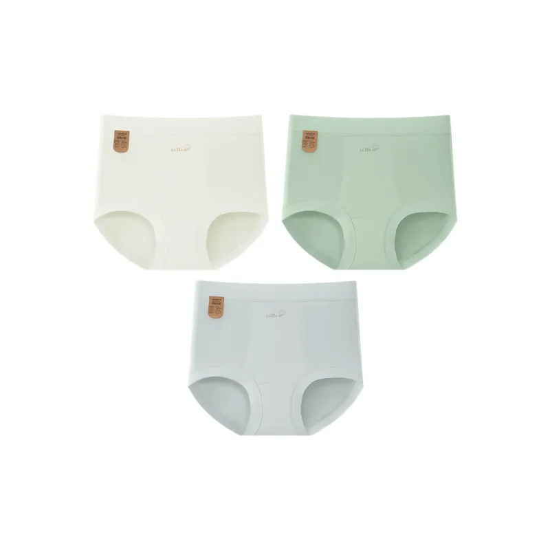 2323 Underpants Women's Combo Set-4
