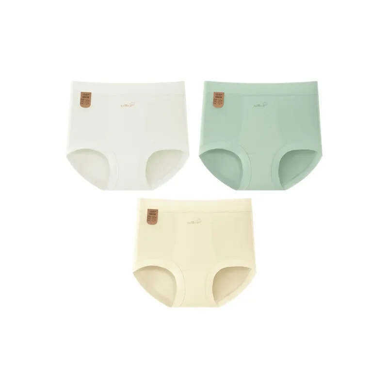 2323 Underpants Women's Combo Set-3