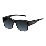 NT019P01( Polarized )