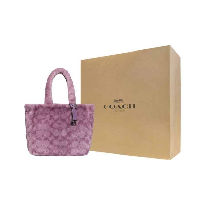 COACH Handbags-10